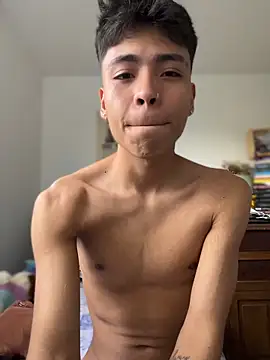MaxiWildd webcam
