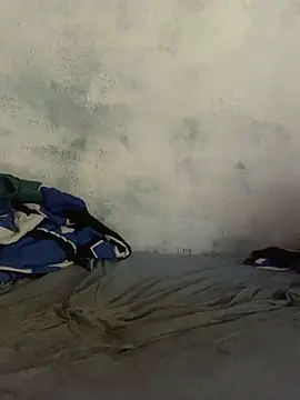 GeilerHSVFAN1989 webcam
