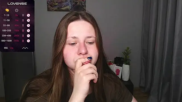 secretvic webcam