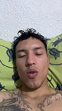 Dan_harmor webcam