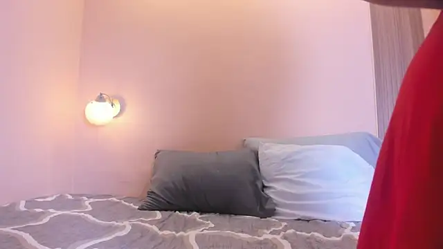 ale_cam webcam