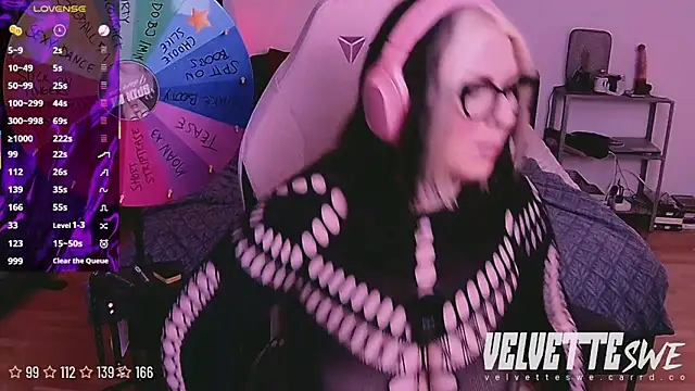 VelvetteSWE webcam