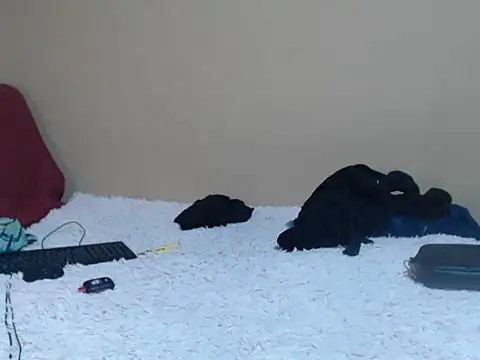 KinkyPxx webcam