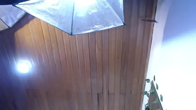 SaraLjordad webcam