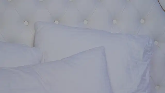 JaneBrock webcam