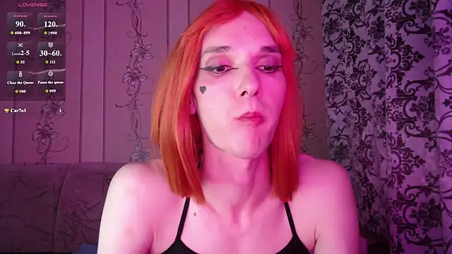 kisasuka webcam