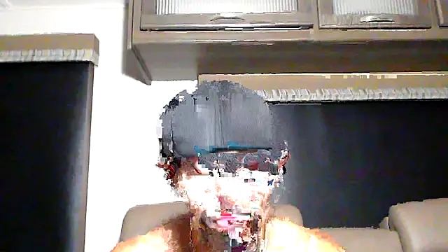 ThickD2C webcam