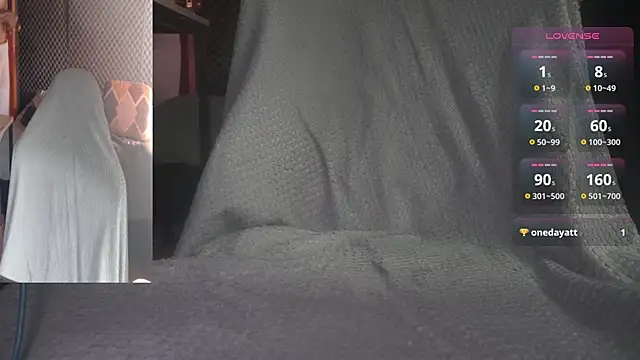 AXEL_AG5 webcam
