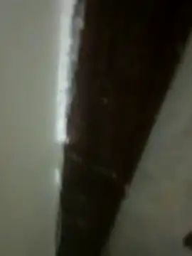 upwalebhaiya webcam