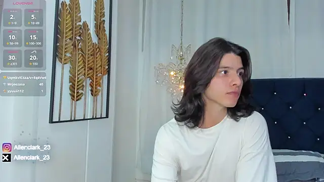 Allen_clark webcam