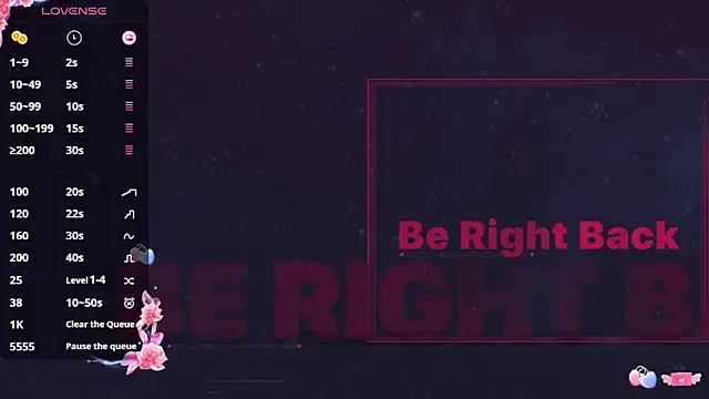 _flipped_ webcam
