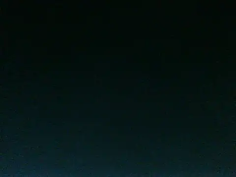 JANVI_06 webcam