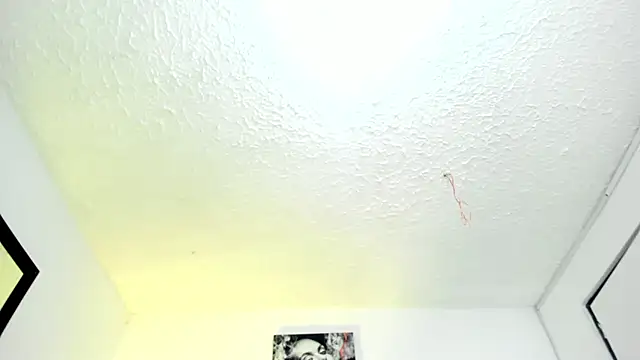 Ariel_star1 webcam