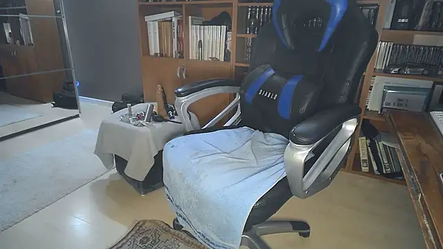 FOUDETRAVS webcam