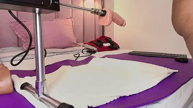 HallyBans webcam