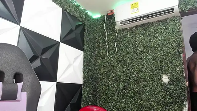ManSant webcam