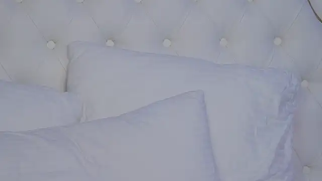 JaneBrock webcam