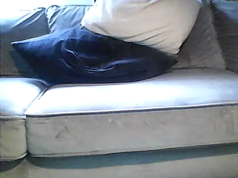 perlados webcam