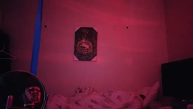 hailzeffn webcam