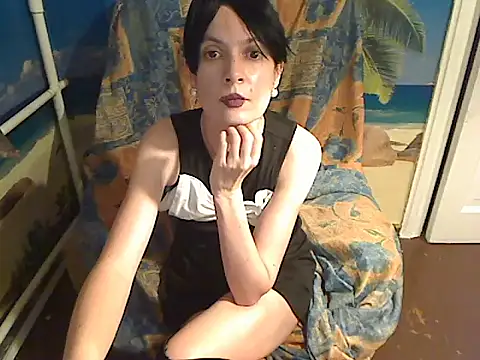Bastet12 webcam