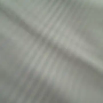 ratoncito_3 live sex cam
