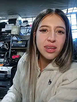eva-2023 webcam