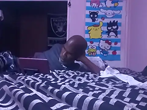 Blkstylion webcam