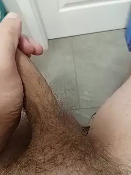 vlas-82 webcam