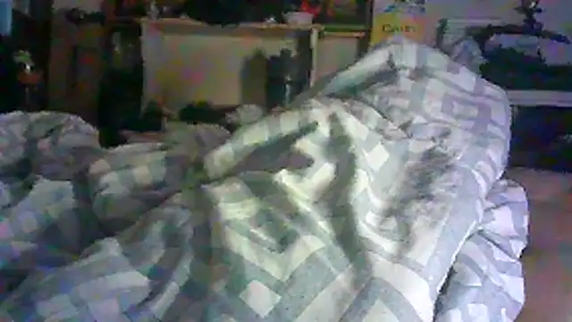 _P3RKY_IMMORTAL3_FIR3_ webcam