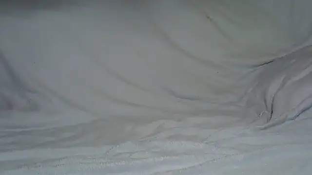 TaMaitresse webcam