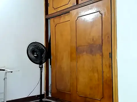 Genesisklart webcam