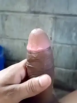 ga213333 webcam