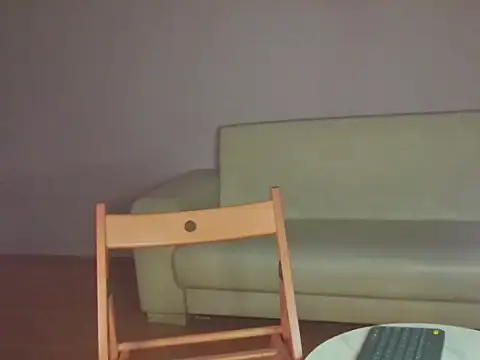 anittac14 webcam