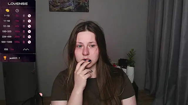 secretvic webcam
