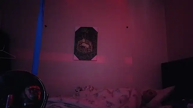 hailzeffn webcam