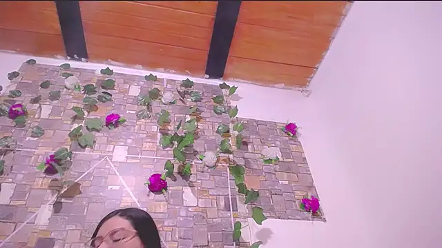 MaidenGame webcam
