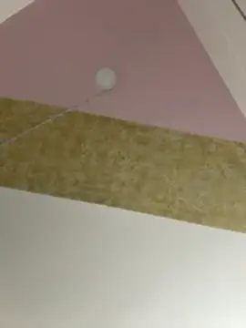 PandoraRider webcam