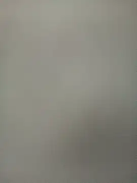 Ridick2025 webcam