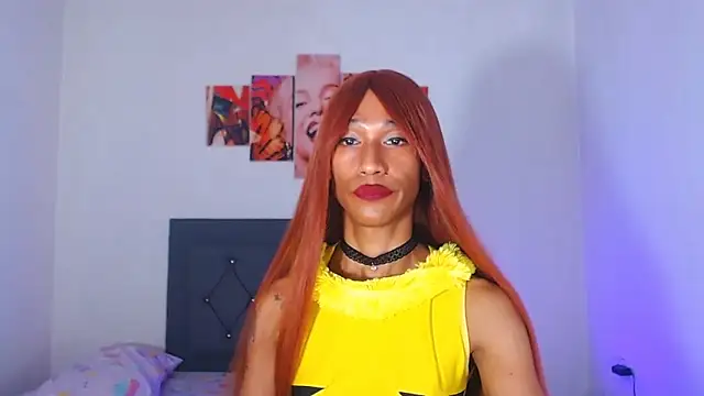 Modelo: red_veltet
