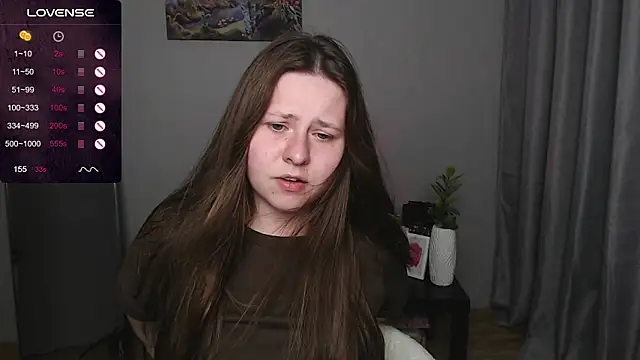 secretvic webcam