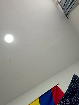 IrisBound webcam