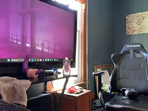 Ragnarrodbrok webcam