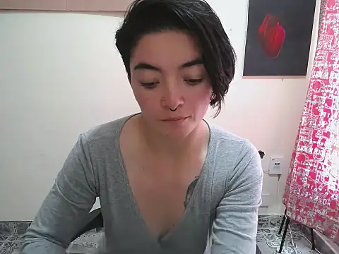 Came-II webcam
