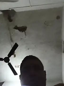 deshilnd webcam