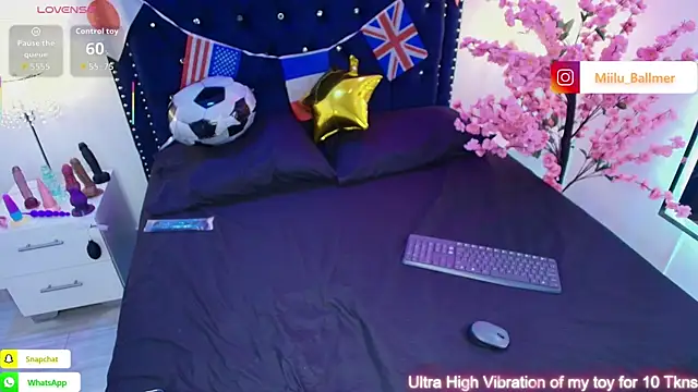Milu_ballmer webcam