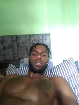 Themagoo webcam