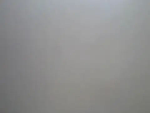 Swt_pie webcam