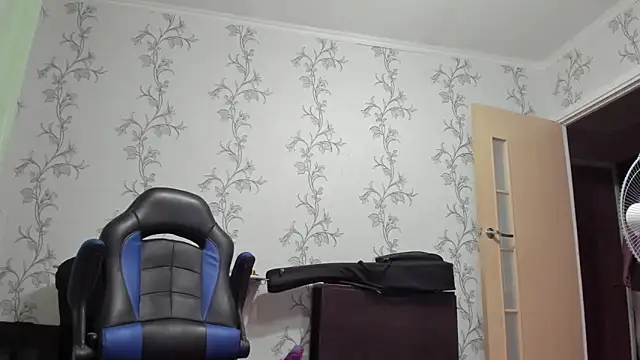 SanFrantsisko webcam