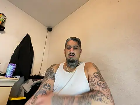 Vision1285 webcam