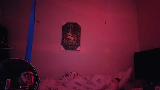 hailzeffn webcam